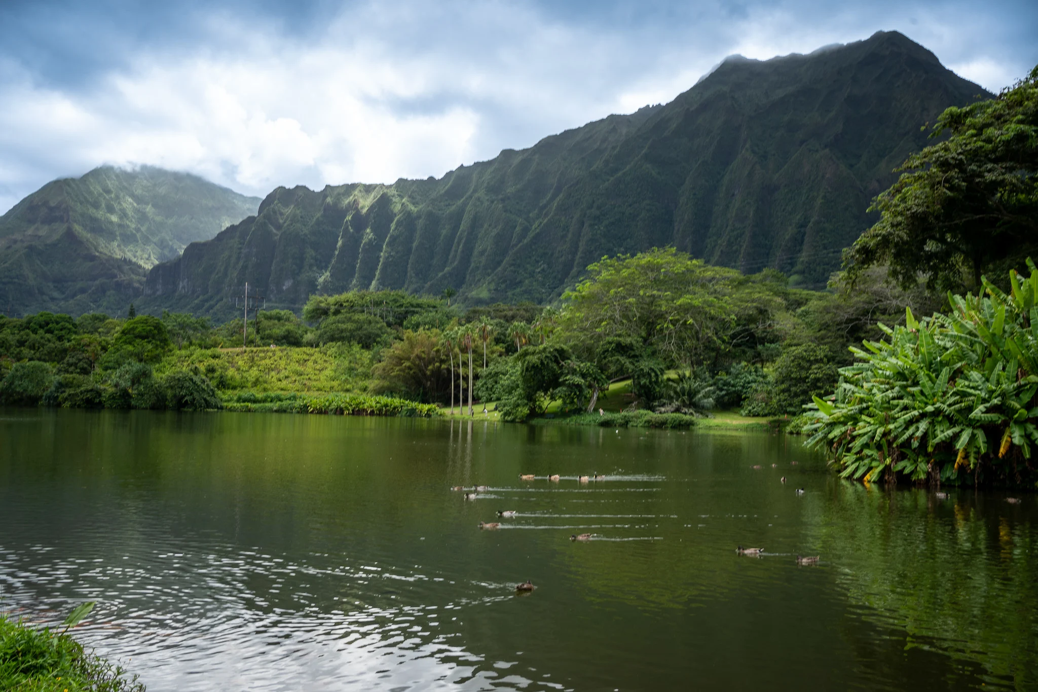 Ho’omaluhia Botanical Garden view from the freshwater lake