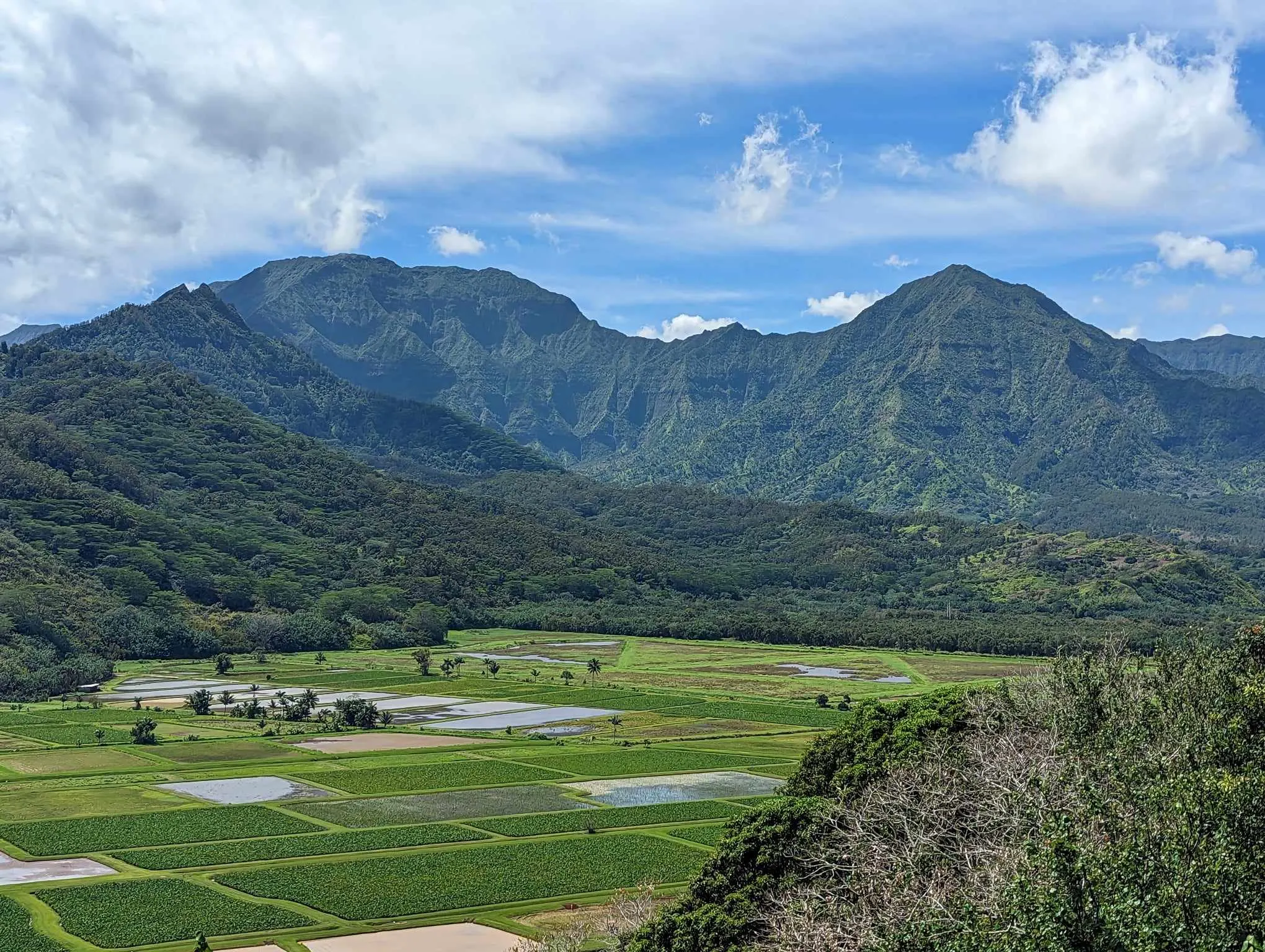 Hanalei valley lookout kauai hawaii