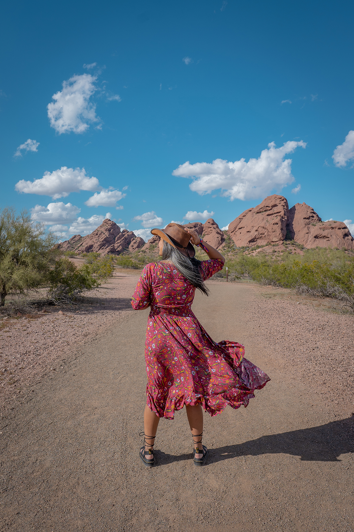Tamga Designs Isla Dress Rosewood Back Arizona Papago Park Desert
