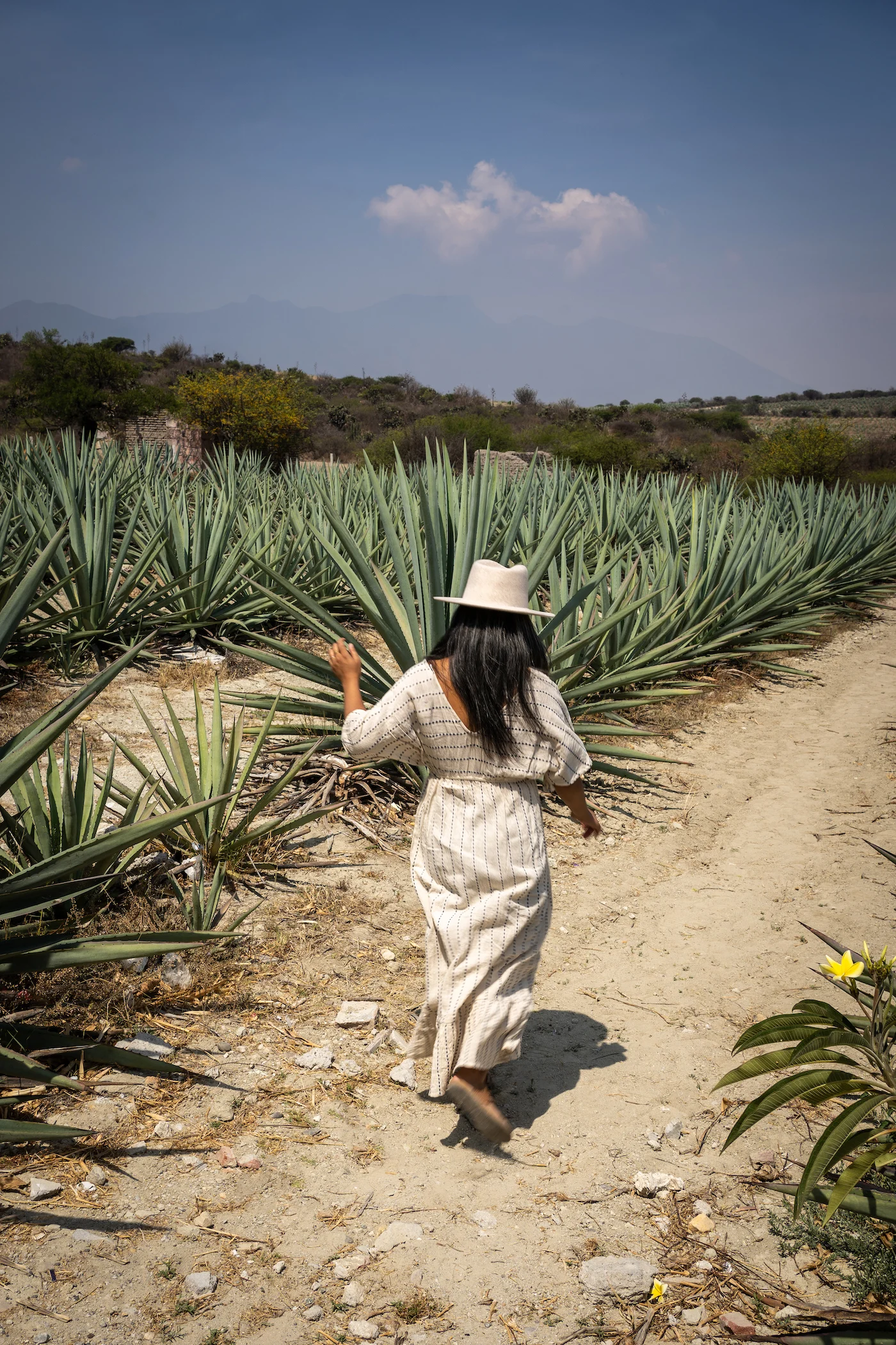 Running through agave fiels in oaxaca mexico