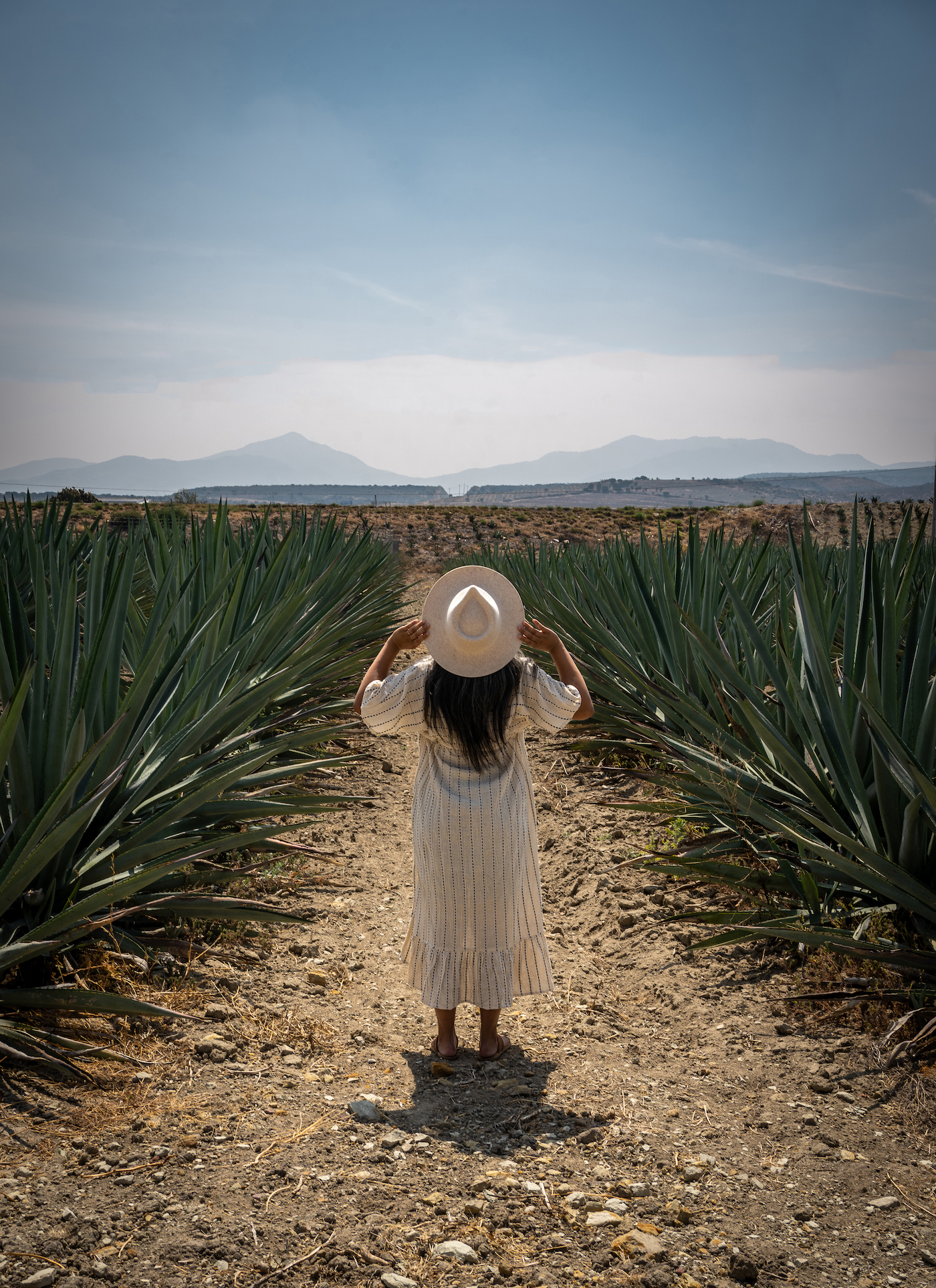 schimiggy alex tran Mezcal agave fields oaxaca mexico gigi pip zephyr hat world market kaftan dress