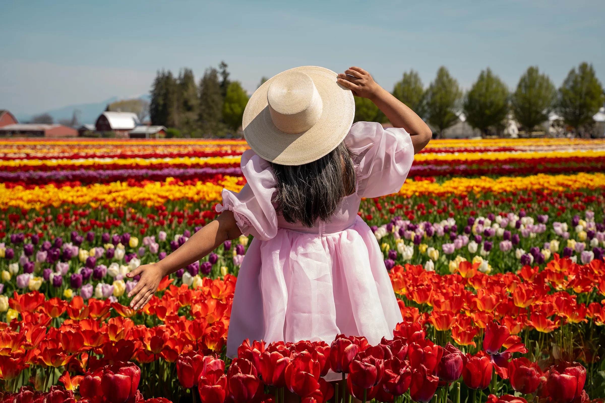 skagit valley tulip festival selkie angel delight puff dress asn boater hat