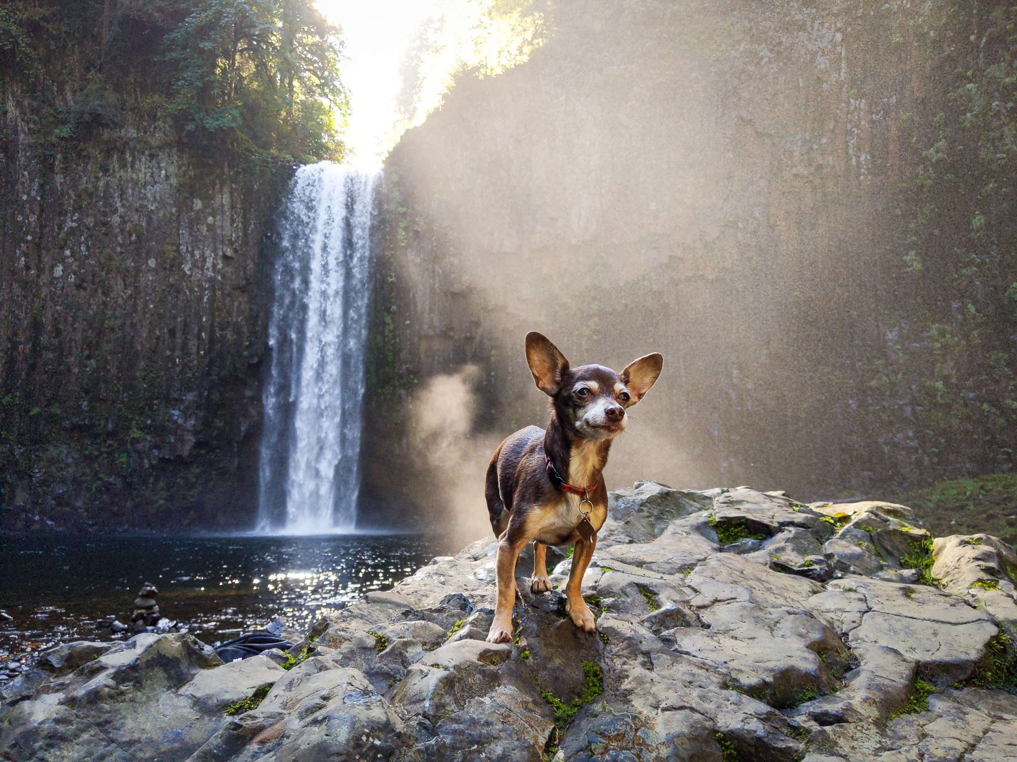 Abiqua falls bebot waterfall hike