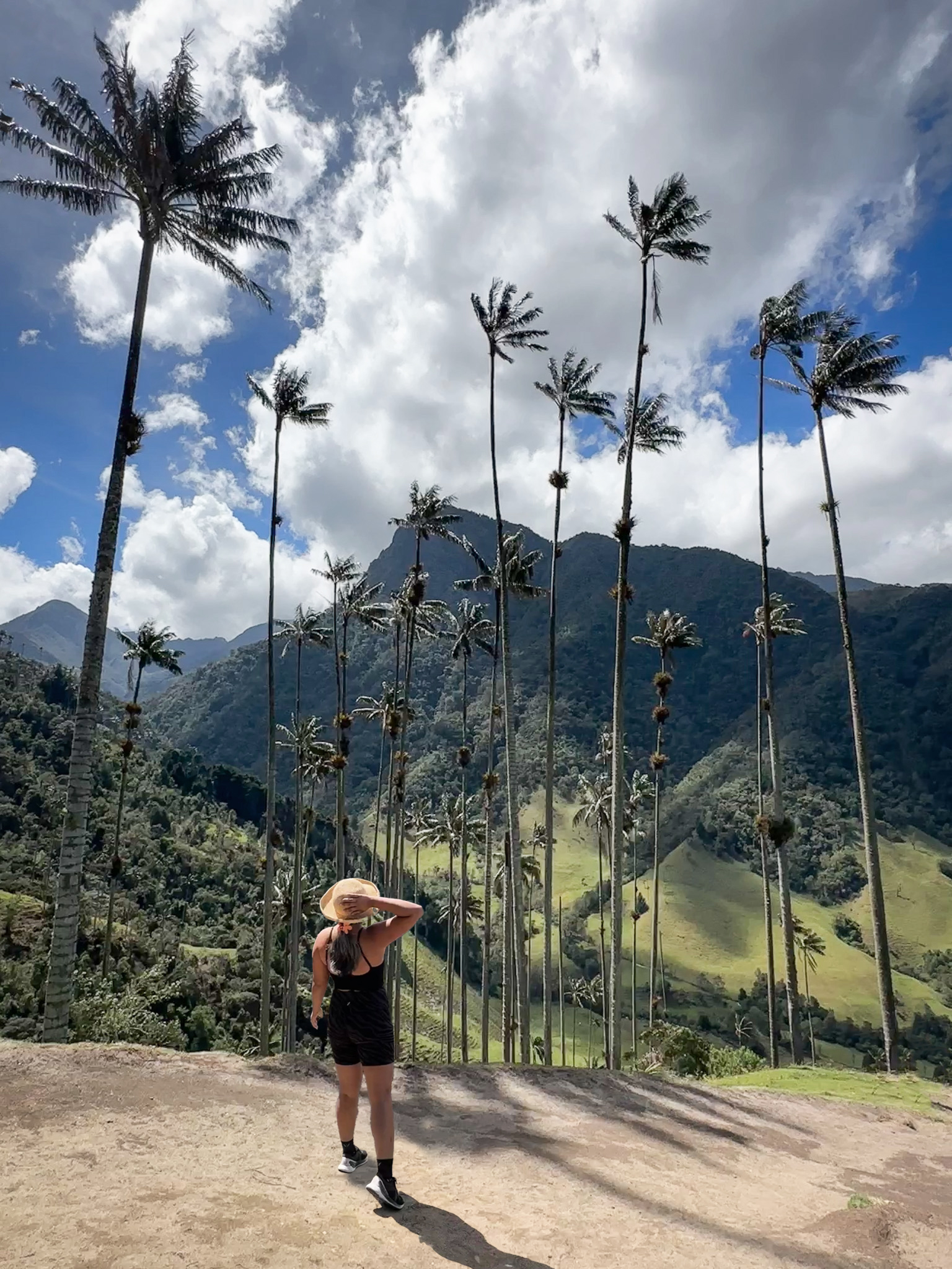 Cocora Valley Colombia Knix Activewear Wallaroo