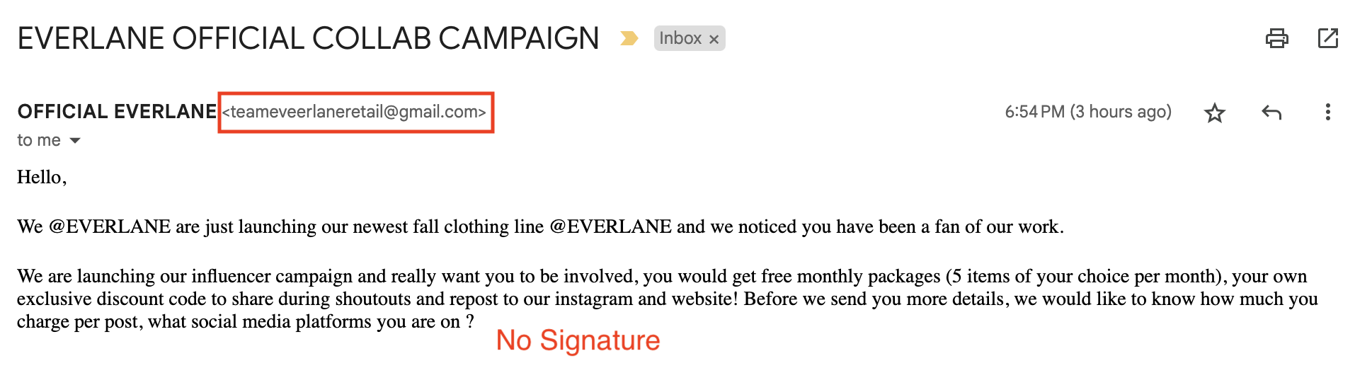 Fake Everlane Collaboration Email example