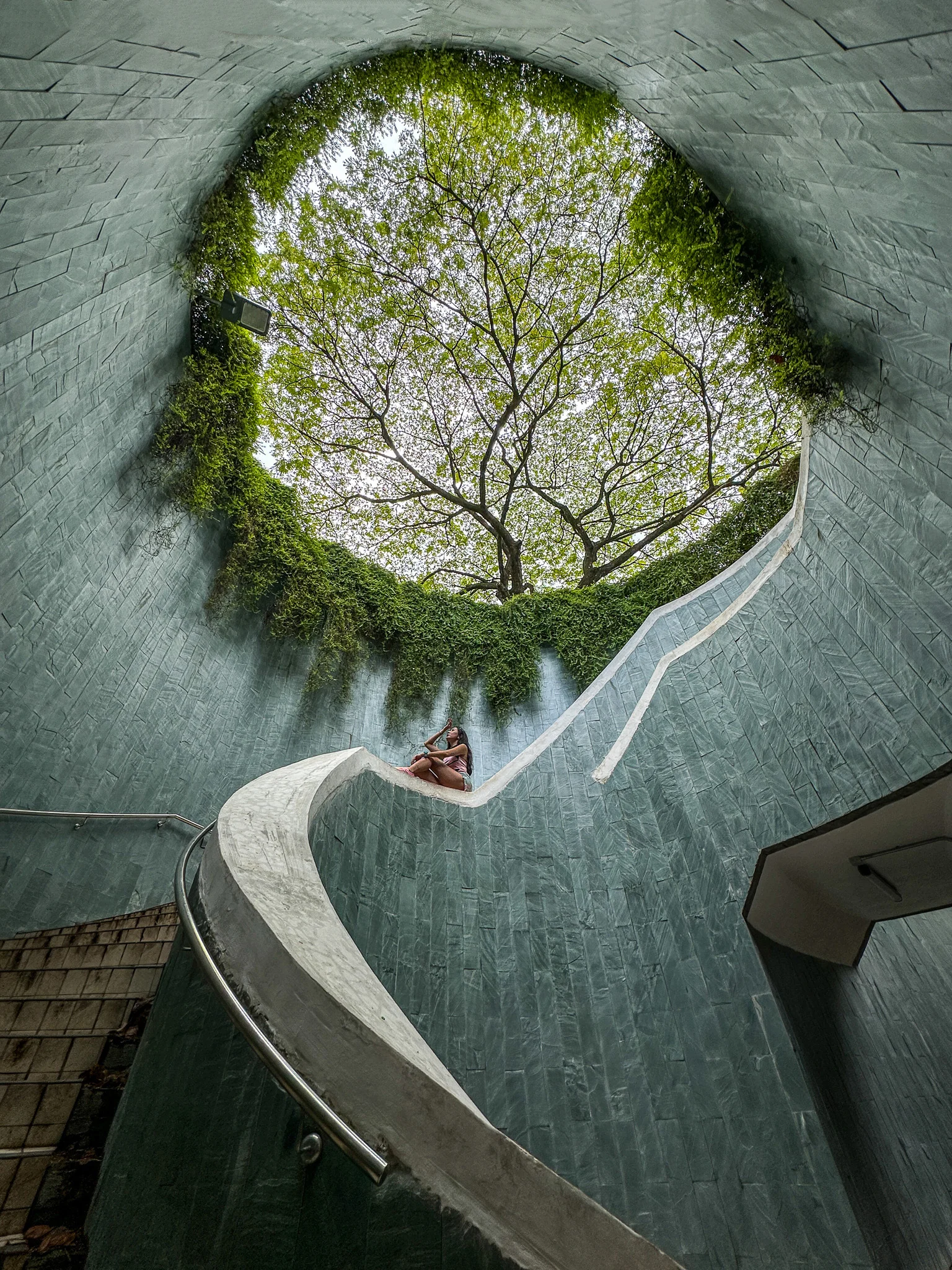 Fort Canning Tree Tunnel Singapore