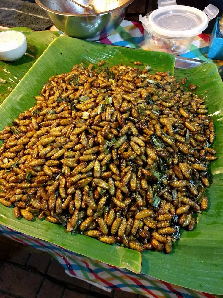 bugs at the rot fai night market in bangkok thailand