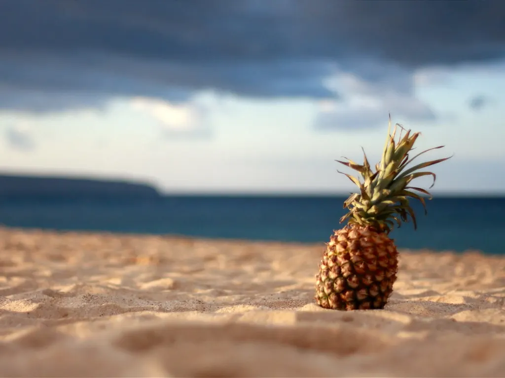 pineapple on the beach vacation