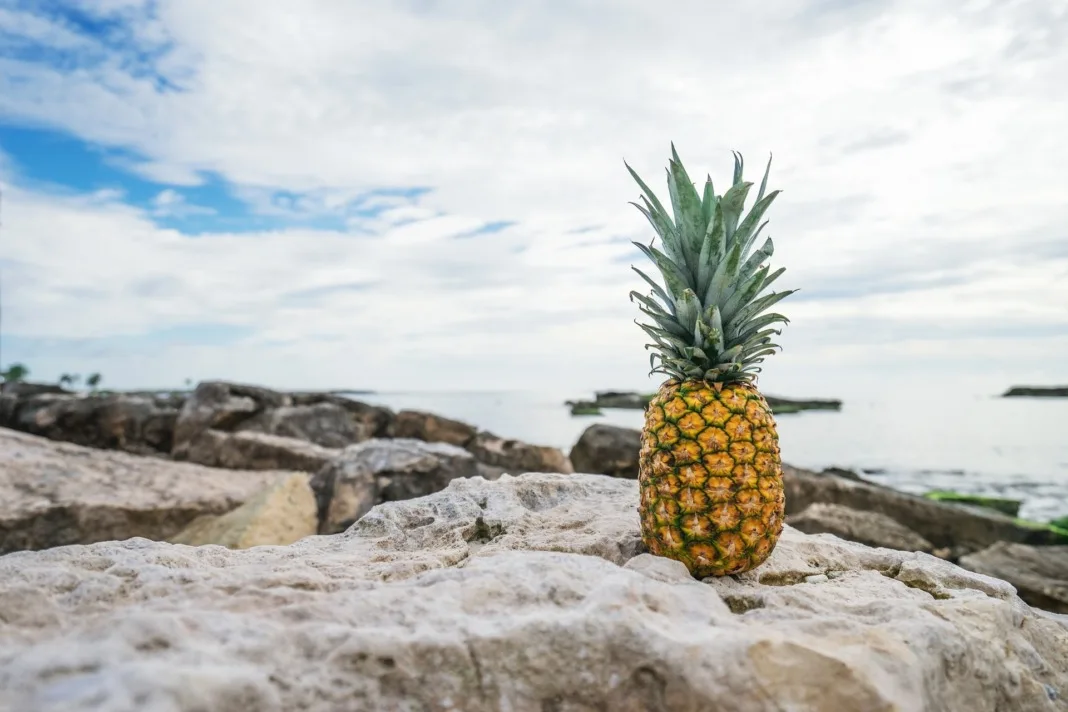 pineapple-on-beach-summer-sweet