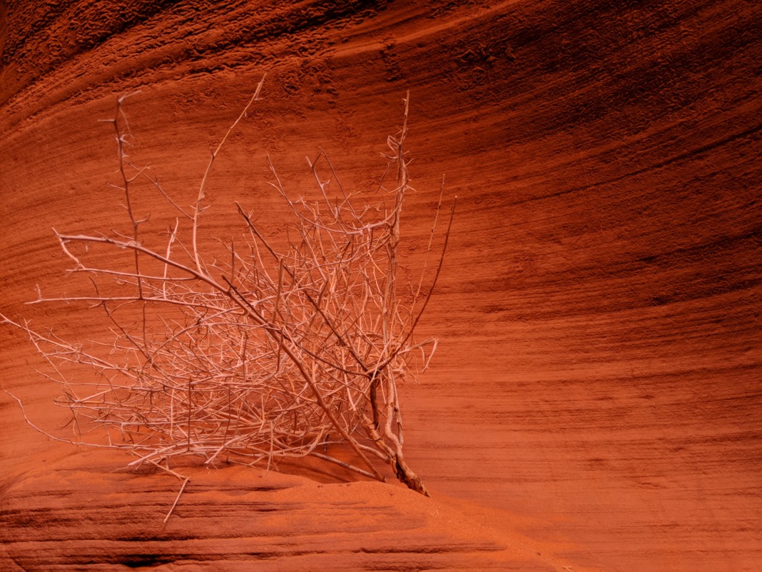Arizona Lower Antelope Canyon