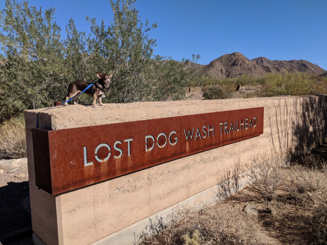 Arizona Weekend Getaway lost dog wash trail bebot