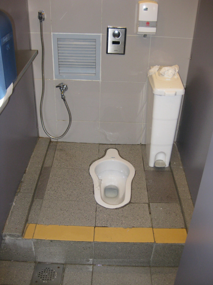 squatter asian asia toilet bidet