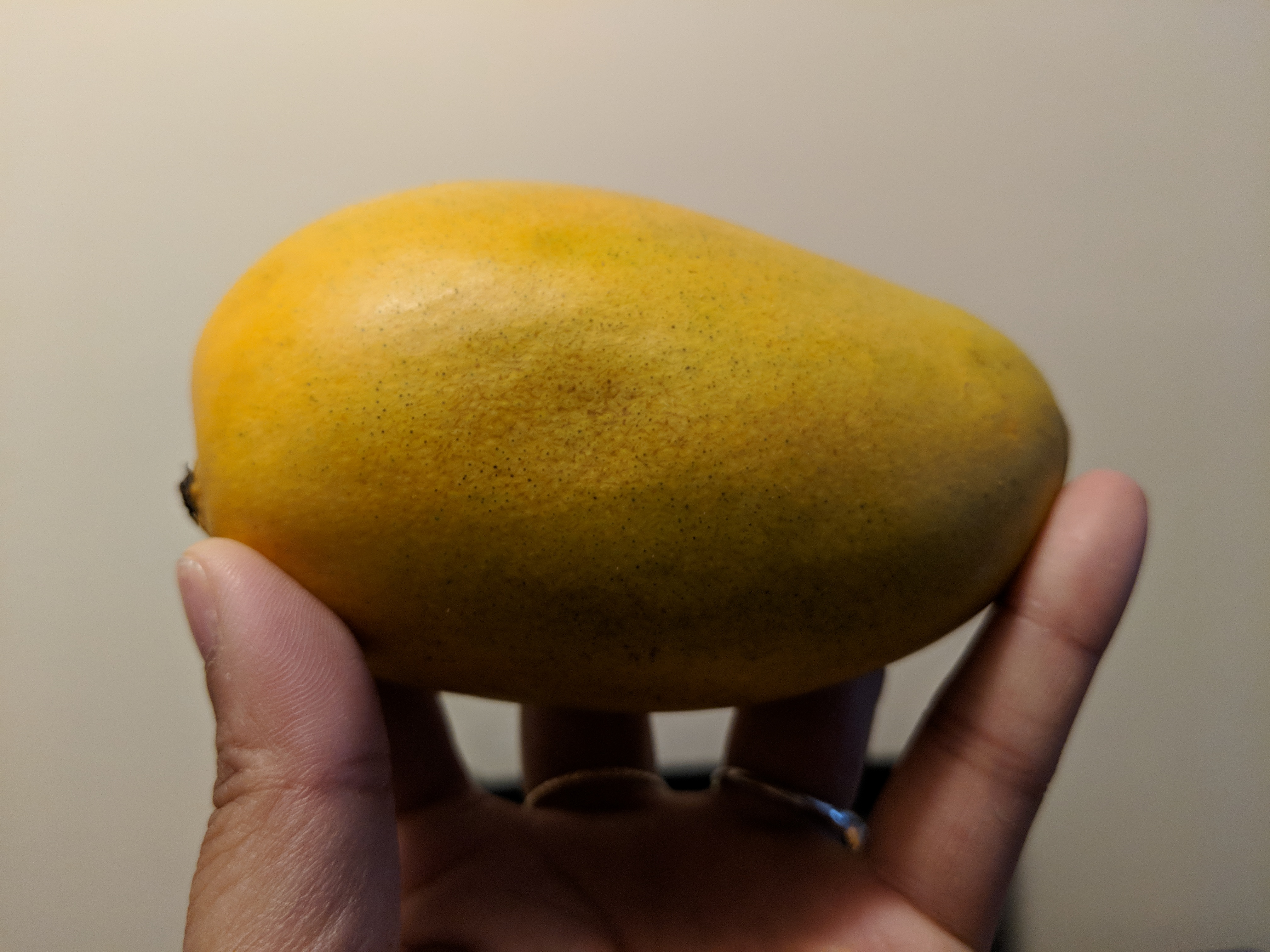 Imperfect Produce Box Review and Reveal - Mango