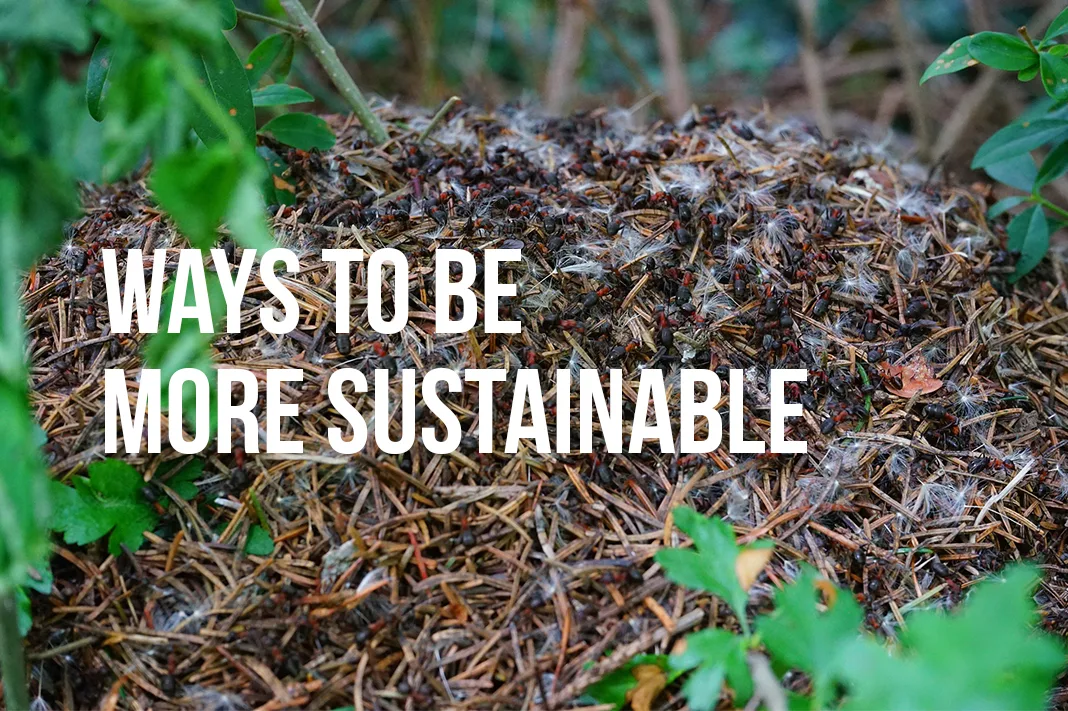 ways to be more sustainable practices zero waste earth day