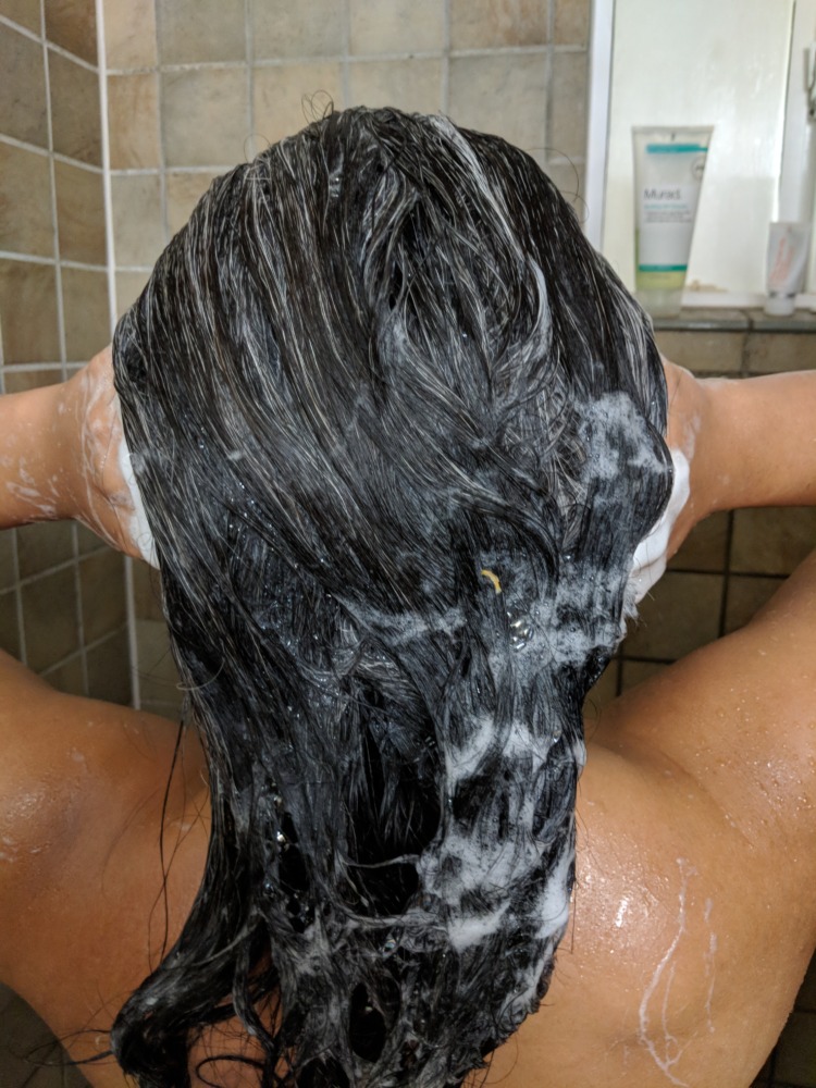 LUSH Shampoo Bar in Hair