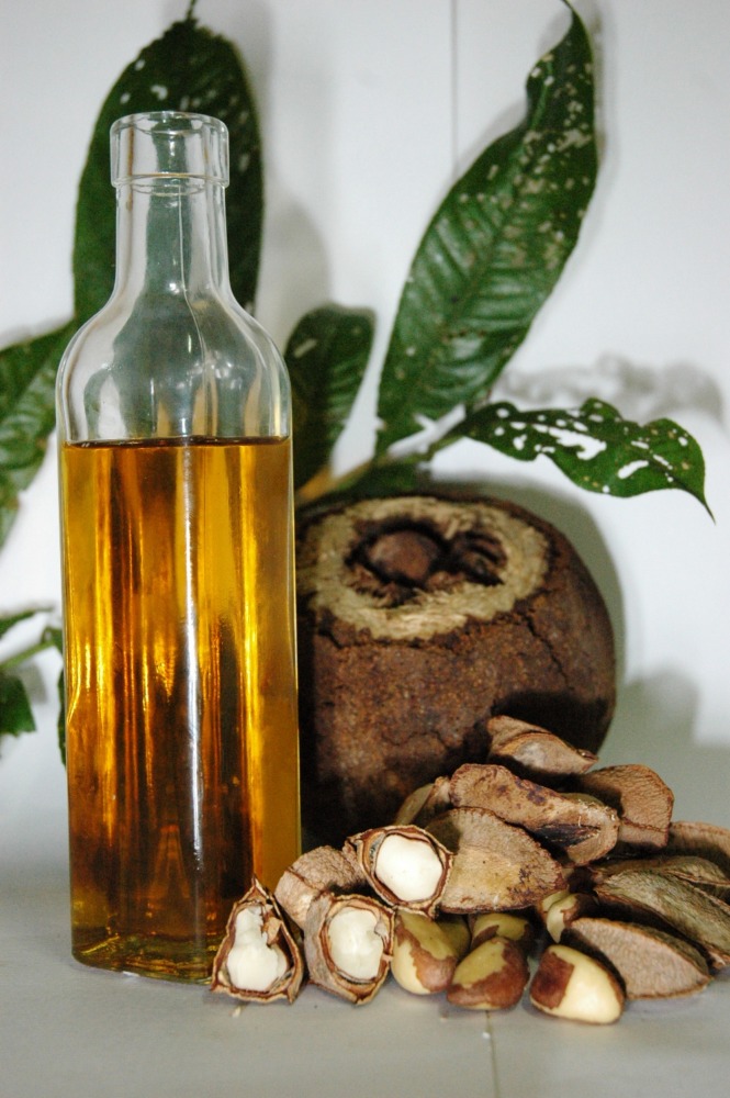nourishing brazil nut oil