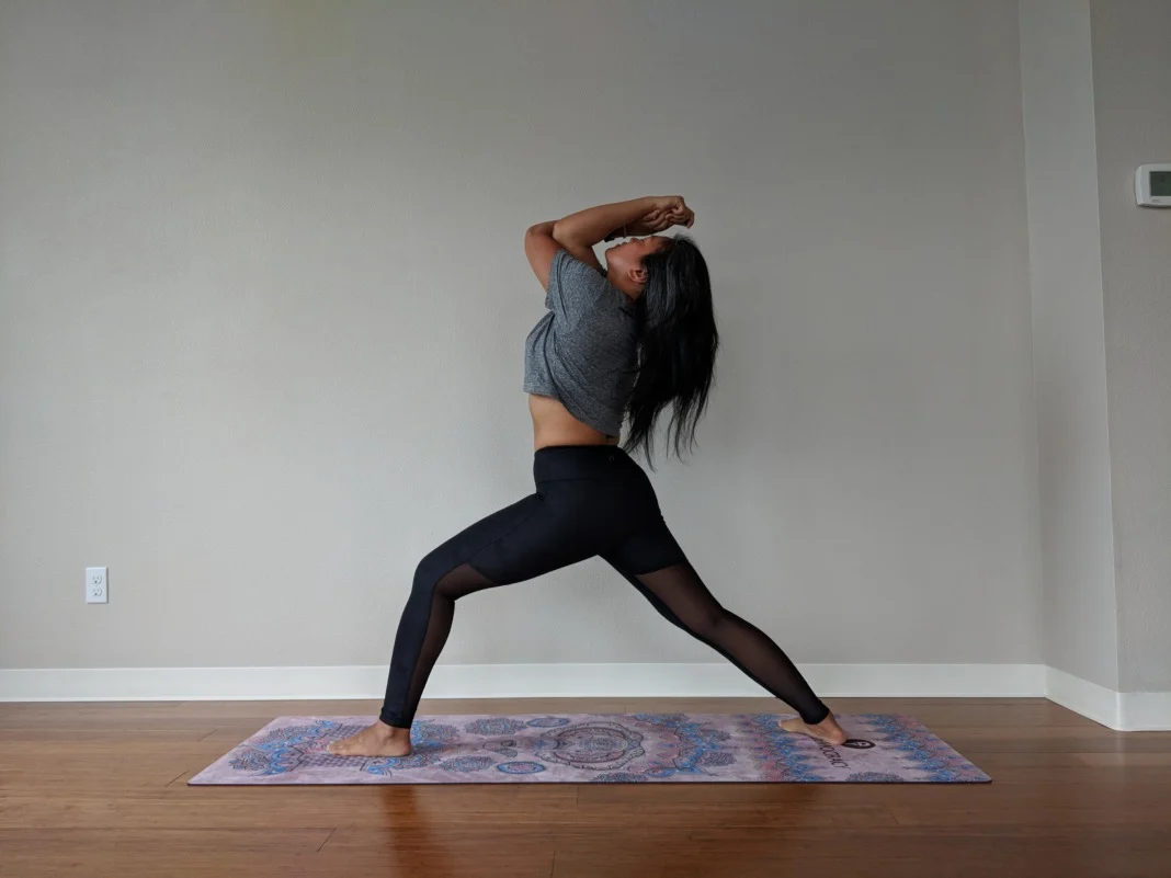 Yoga Democracy Review: Mystic Elephant Yoga Mat - Schimiggy Reviews