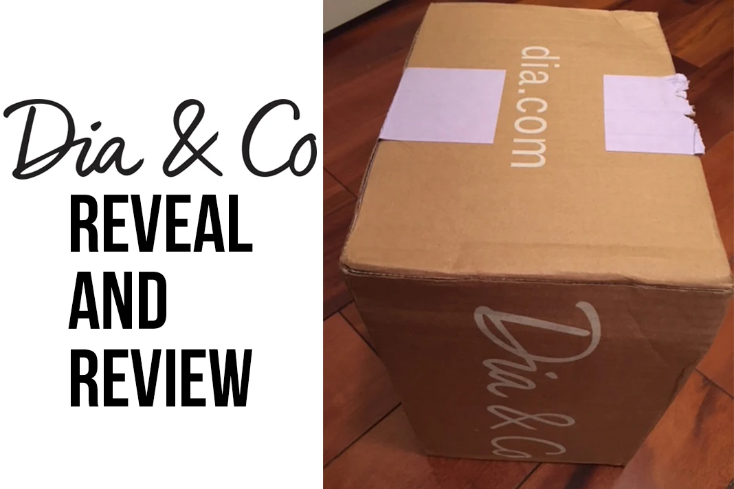 dia&co reveal reveal plus size fashion subscription box