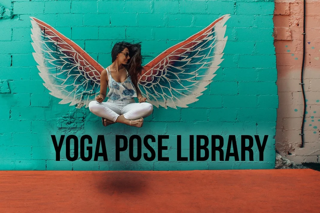 Schimiggy Reviews | Yoga Pose Library Resource for Teachers and Practitioners