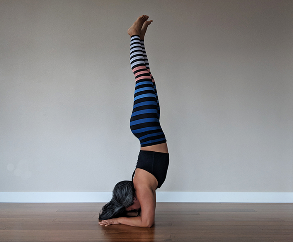 how to do pincha mayurasana forearm stand schimiggy reviews yoga pose library 6