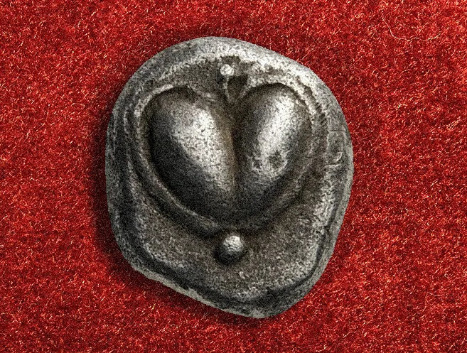 silphium-heart-coin-shape depiction