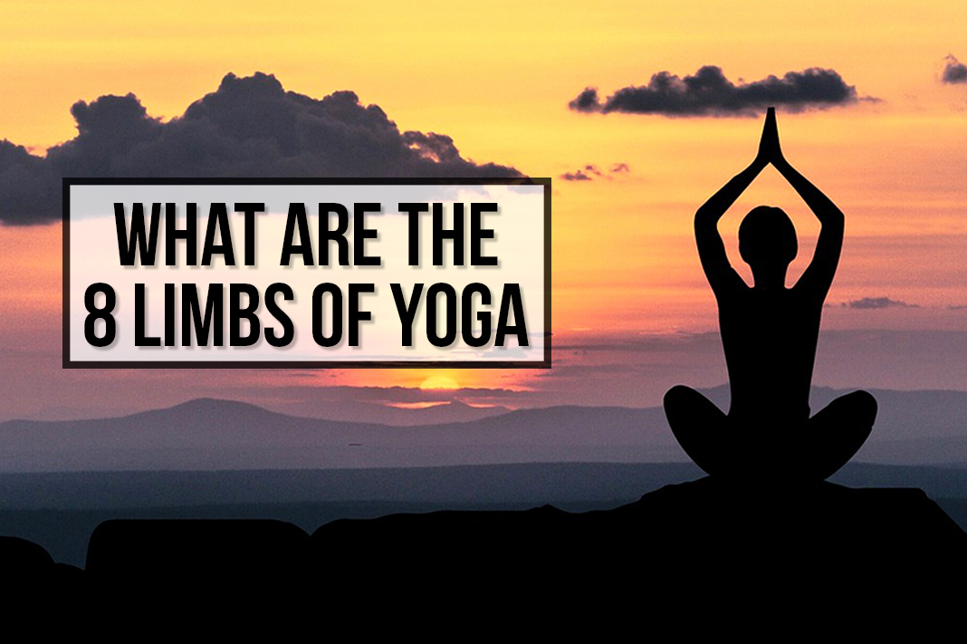 What are the 8 Limbs of Yoga? [CHEATSHEET]
