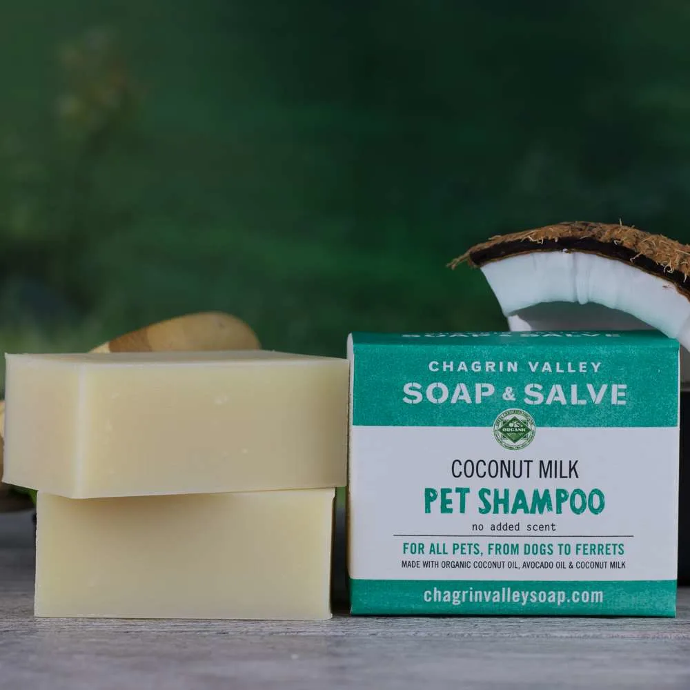 Best Pet Shampoo Bars for Dogs and Cats - Schimiggy Reviews