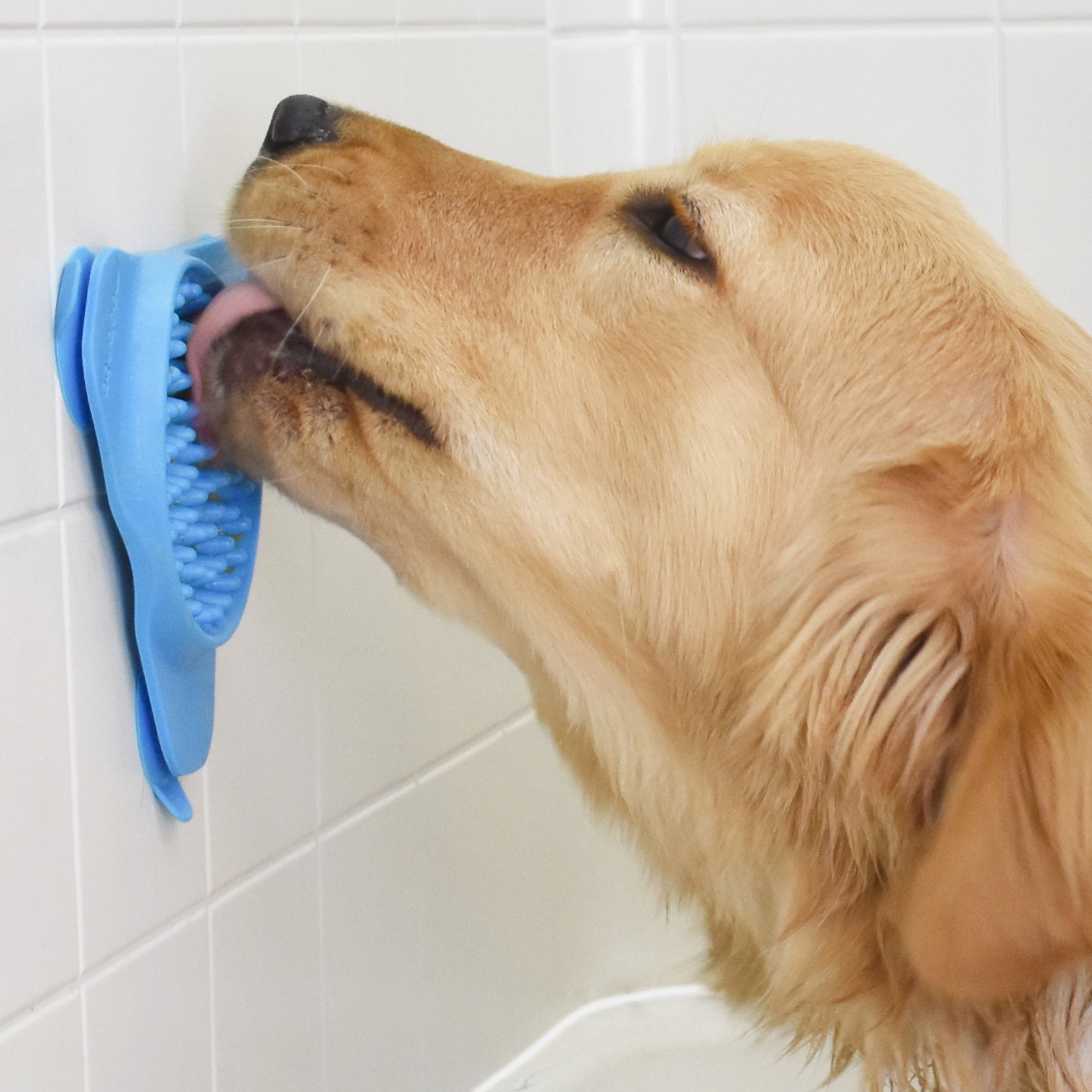aquapaw slow treater dog shower distraction tool