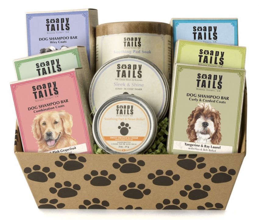 Best Pet Shampoo Bars for Dogs and Cats Schimiggy Reviews