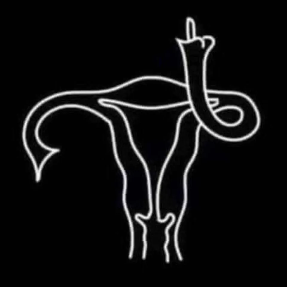 abortion ban meme uterus throwing middle finger