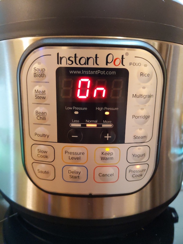 Instant Pot Buttons | Schimiggy Reviews