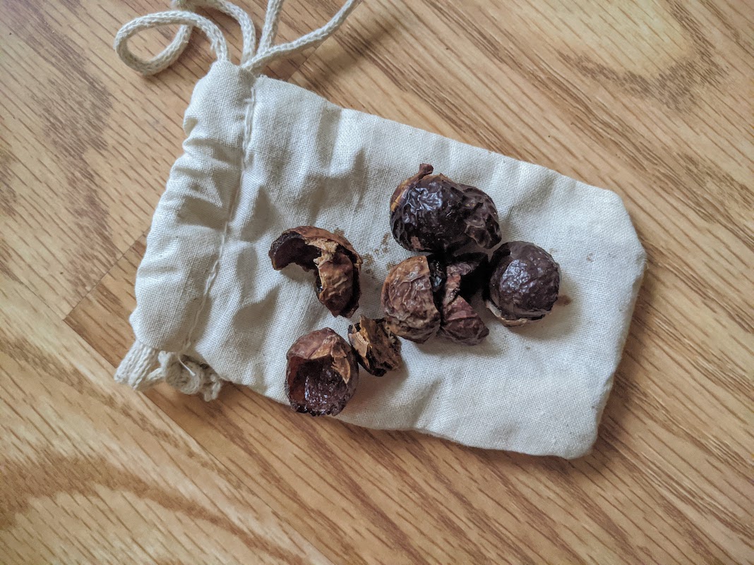 soap berries soap nuts and drawstring bag