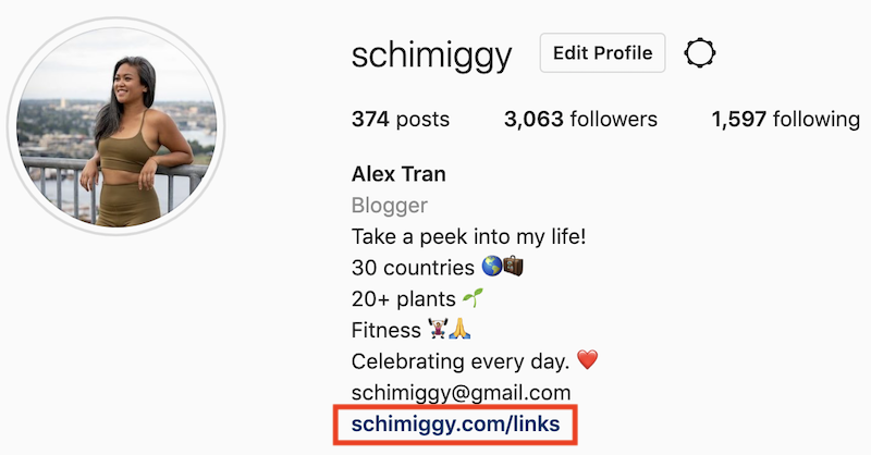 Instagram Landing Page Example Schimiggy