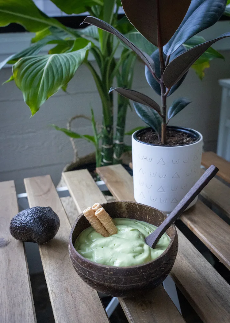 vietnamese avocado smoothie recipe