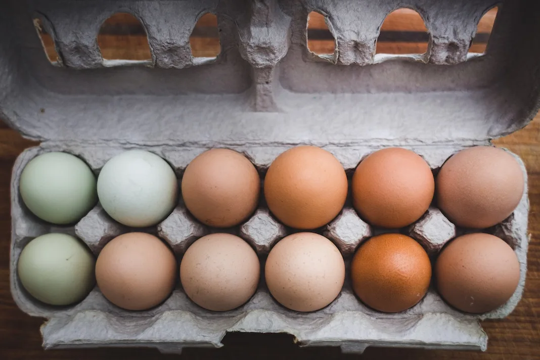 eggs in a carton