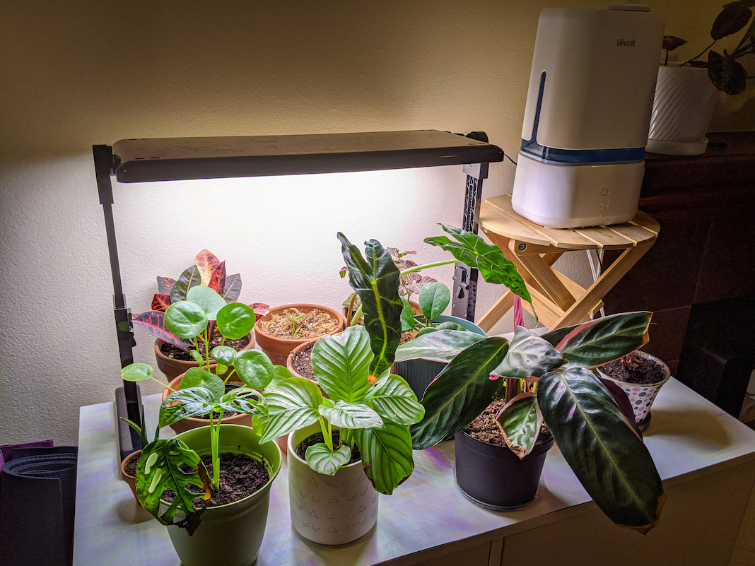 Aerogarden Grow Light Set Up for House Plants