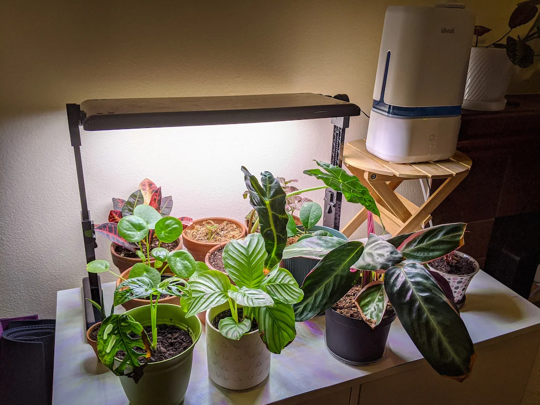 Grow lights for houseplants in deals winter