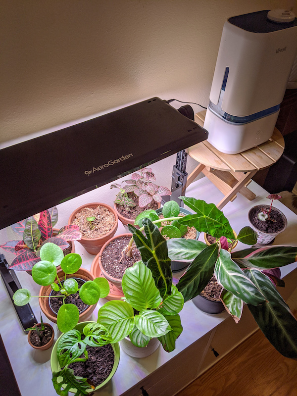 keep plants alive with LED grow light from Aerogarden