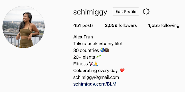 what to write in your instagram bio