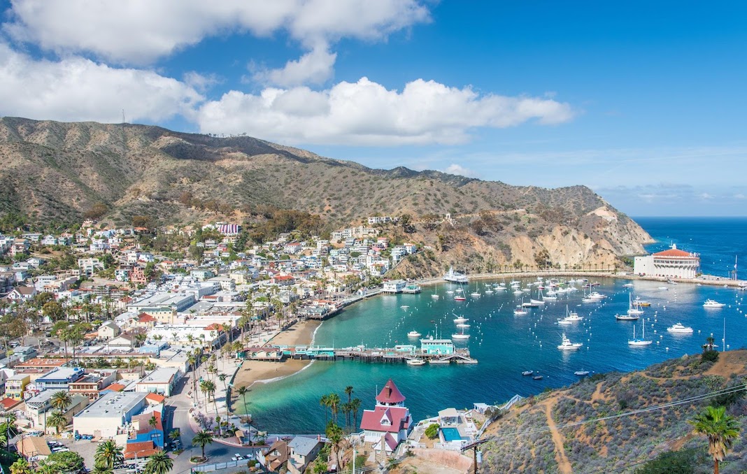 Best Things to Do in Catalina Island