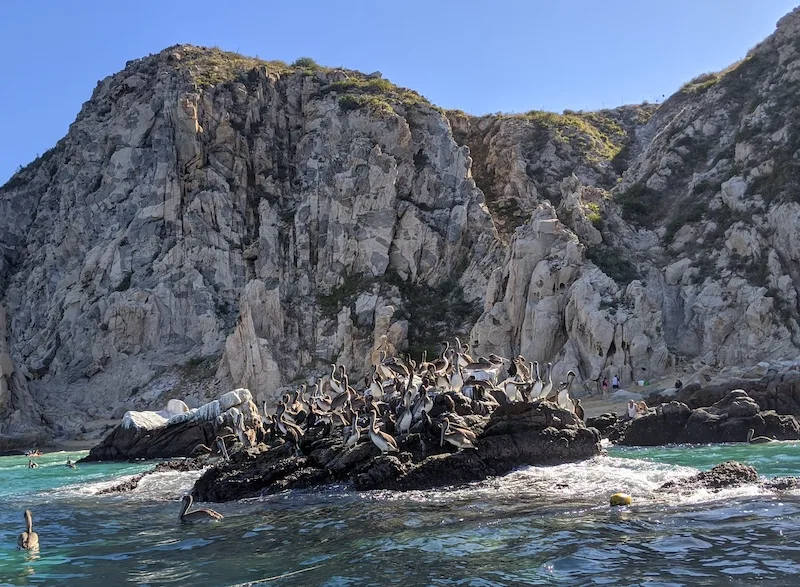 Pelican Rock in Los Cabos