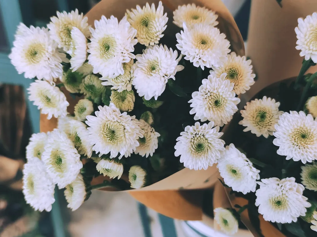 bouquet of white flowers