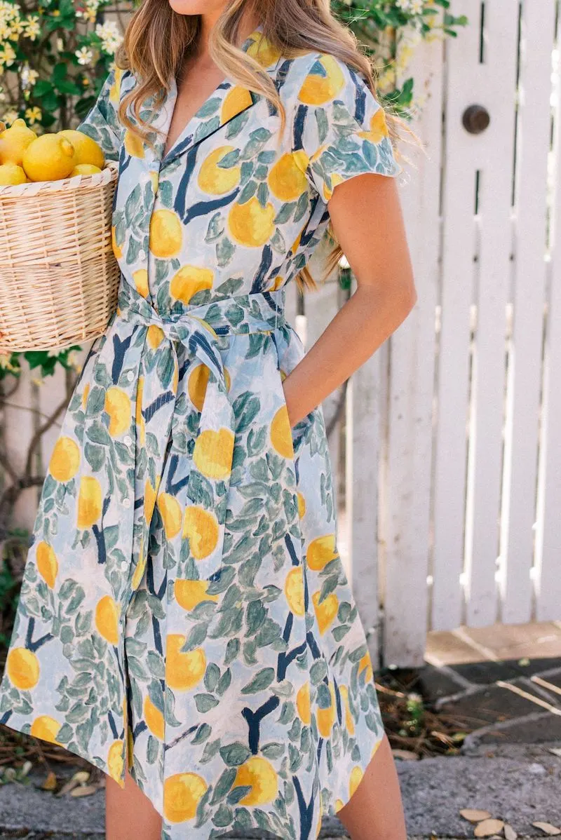 Tuckernuck Lemon Print Shirt Dress