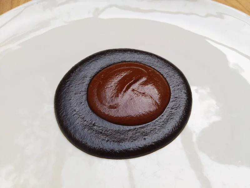 Pujol Madre Mole sauce