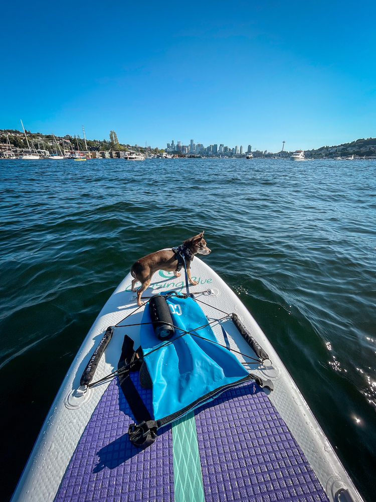 Outdoor Masters stand up paddle board with bebot the dog