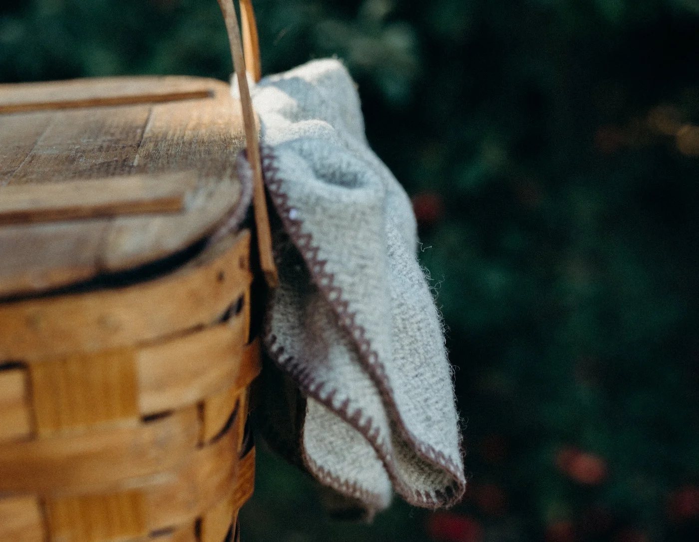 what goes into a picnic basket contents