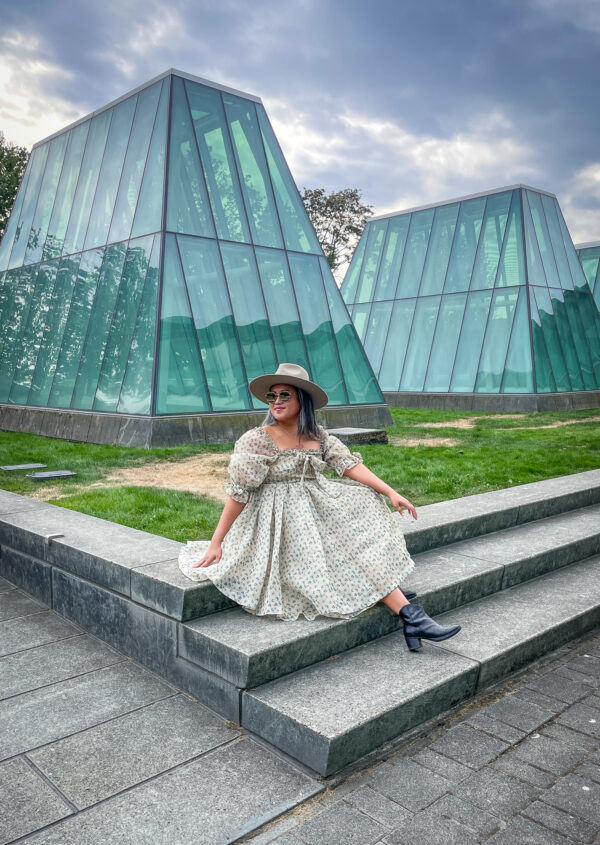 Selkie Shabby Chic Dress in Hazy Floral University of Washington Pyramids