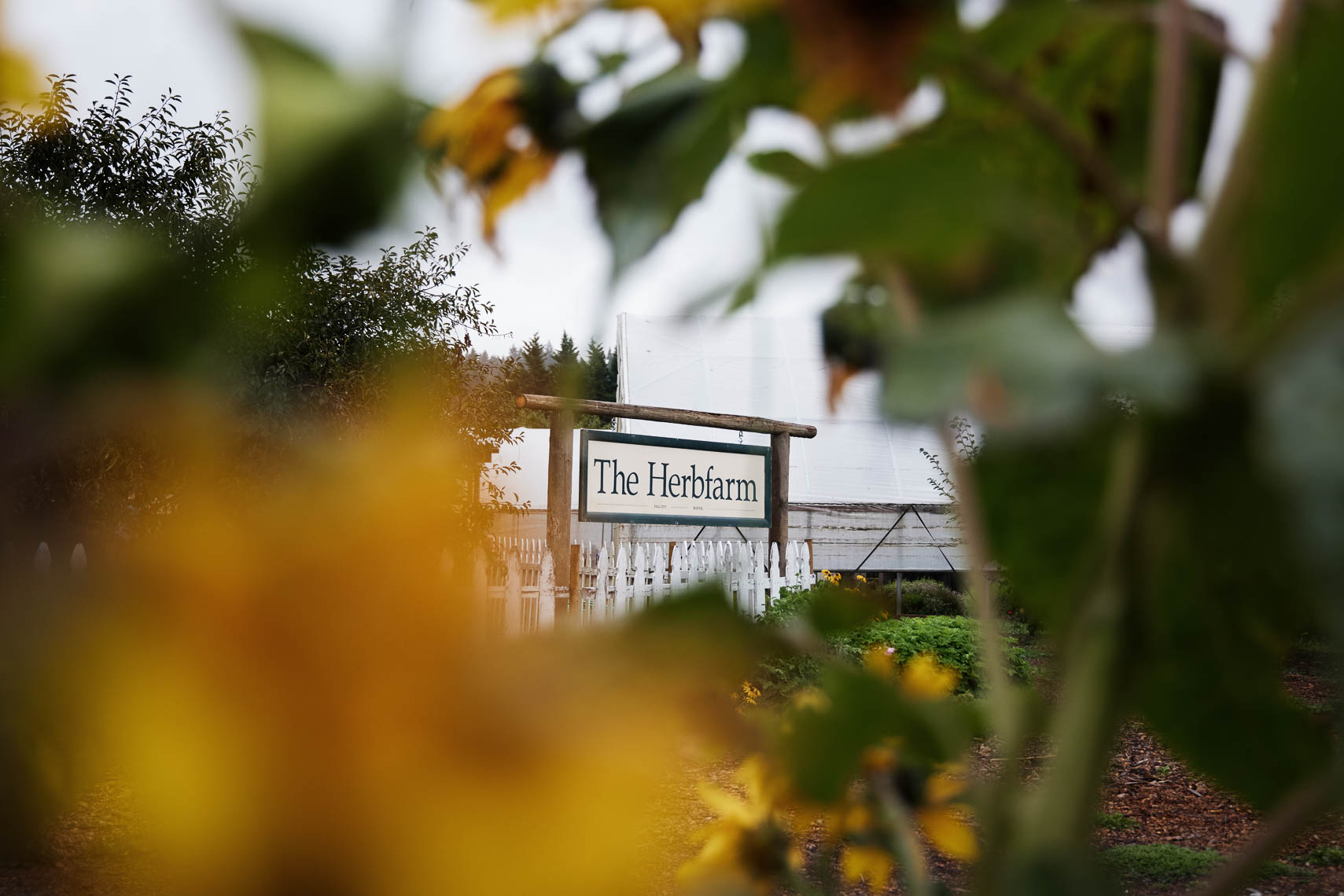 Fine Dining Review of Herbfarm in Woodinville, Washington