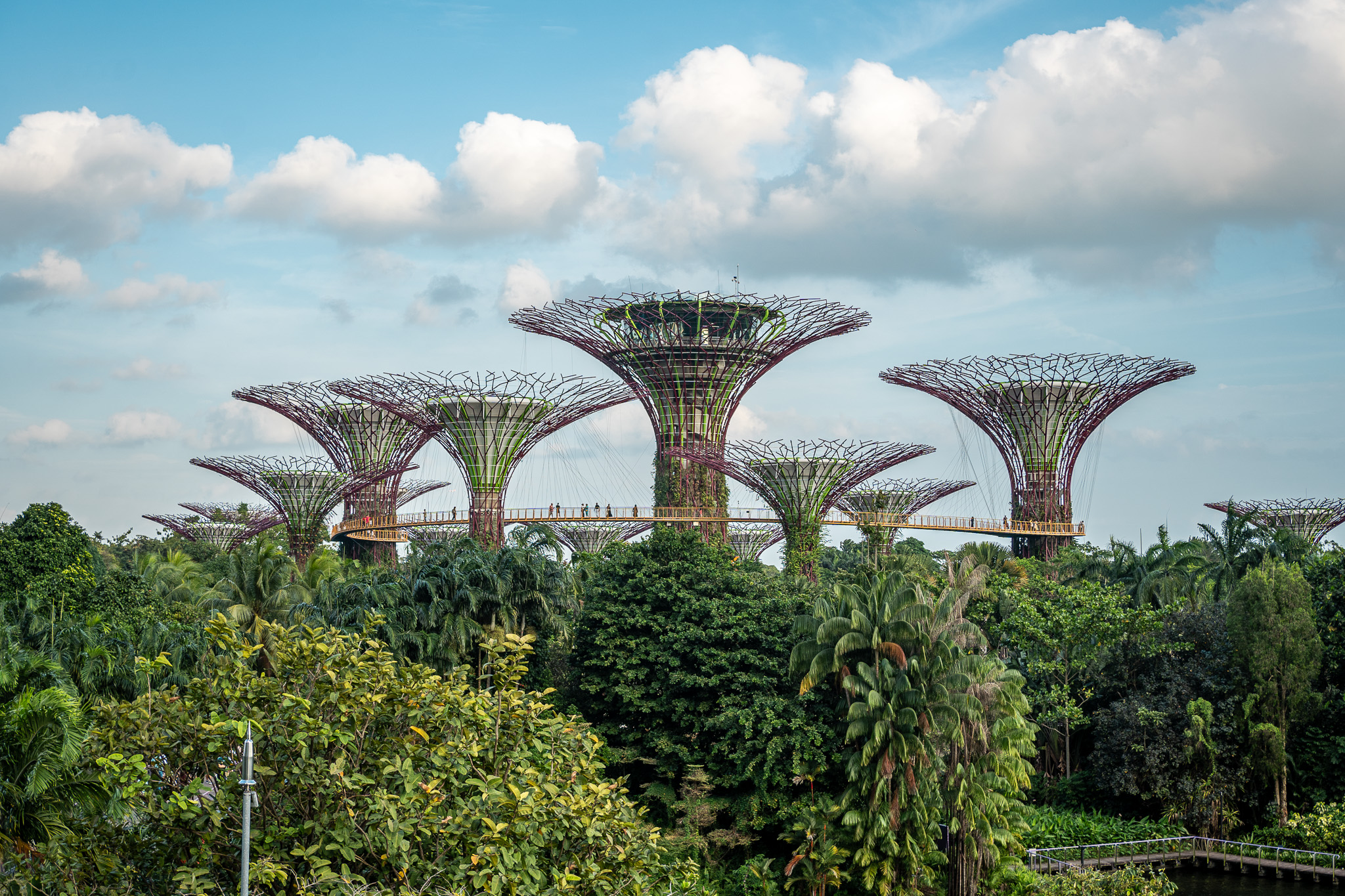 Singapore Travel Guide | What to See Eat and Do